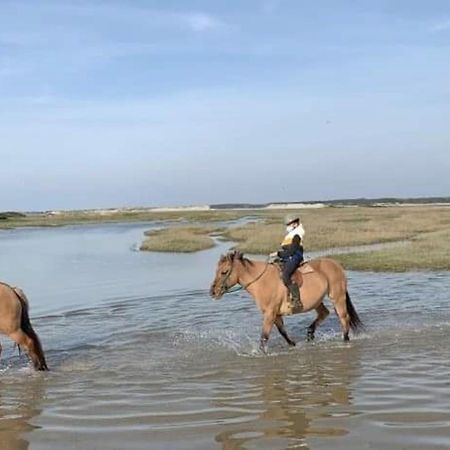 Fort-Mahon : Superbe T2 A 2 Pas De La Plage Avec Parking Prive - Fr-1-482-15 Bagian luar foto